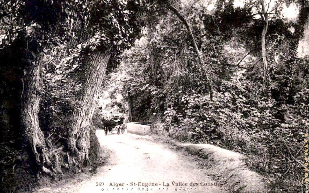Alger-Saint-Eugene - Vallee des Consuls.jpg